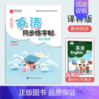 五年级[下册]英语同步练字帖 小学通用 [正版]译林版小学生英语衡水体字帖三年级英语四五六年级译林版同步练字帖英语训练英