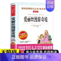 [赠考点 六年级下册]爱丽丝梦游奇境记 [正版]快乐读书吧三四五六年级上下册全套人教版小学生课外阅读书籍安徒生格林童话稻