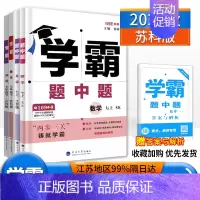 数学 人教版 七年级上 [正版]2024版学霸题中题七年级上下册语文数学英语苏科版人教北师7年级上下册数学英语同步