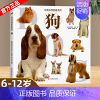 科普图鉴系列—狗 [正版]经典科普图鉴系列全6册猫狗恐龙鲨鱼飞机机械百科绘本6-12岁小学生三四五年级课外阅读书了解自然