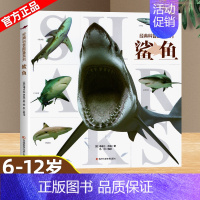 科普图鉴系列—鲨鱼 [正版]经典科普图鉴系列全6册猫狗恐龙鲨鱼飞机机械百科绘本6-12岁小学生三四五年级课外阅读书了解自