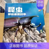 [精装大开本]昆虫 那些重要的事 [正版]昆虫那些重要的事中国少年儿童探索百科全书恐龙 动物 太空 宇宙 自然 科学 地