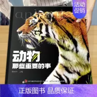 [精装大开本]动物 那些重要的事 [正版]昆虫那些重要的事中国少年儿童探索百科全书恐龙 动物 太空 宇宙 自然 科学 地