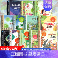 [全12册]二年级下册配套阅读 [正版]二年级上册必读课外书注音版 少年英雄王二小刘胡兰的故事纸船和风筝雪孩子适合小学生