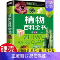 [精装硬壳]植物百科全书 [正版]硬壳彩图注音 恐龙百科全书少儿 恐龙大百科 适合男孩的读物 一二三年级课外书6-7-8