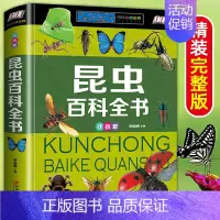 [精装硬壳]昆虫百科全书 [正版]硬壳彩图注音 恐龙百科全书少儿 恐龙大百科 适合男孩的读物 一二三年级课外书6-7-8