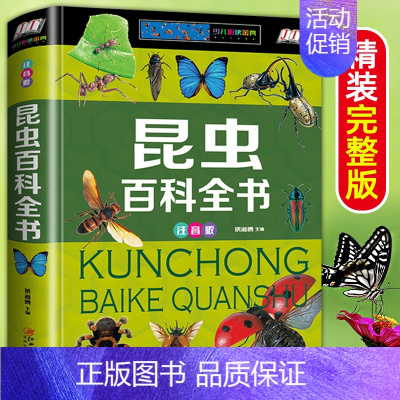 [精装硬壳]昆虫百科全书 [正版]硬壳彩图注音 恐龙百科全书少儿 恐龙大百科 适合男孩的读物 一二三年级课外书6-7-8