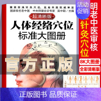 [正版] 人体经络穴位标准大图册清晰图 中医按摩经络穴位书籍 经络穴位按摩大全养生书大全人体经络穴位图解书人体穴位图解大