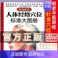 [正版] 人体经络穴位标准大图册清晰图 中医按摩经络穴位书籍 经络穴位按摩大全养生书大全人体经络穴位图解书人体穴位图解大