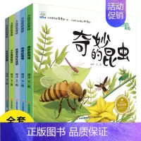 大自然科普绘本第一辑-共5册 [正版]小果树儿童科普读物绘本全套5册 大自然的奥秘 奇妙的昆虫 3-4-6-8-9岁幼儿