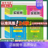 套装3-语文[人教版]+数学[人教版]+英语[人教版] 五年级上 [正版]2024秋 实验班提优训练 一年级上下册二三四