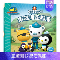 角嘴海雀群落 [正版]任选 海底小纵队图书全套80册彩图注音拼音版一二三四五六七八辑 3-4-6-9岁儿童图书探险记故事