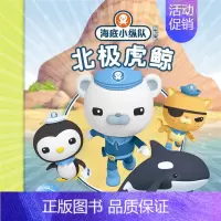 北极虎鲸 [正版]任选 海底小纵队图书全套80册彩图注音拼音版一二三四五六七八辑 3-4-6-9岁儿童图书探险记故事书幼