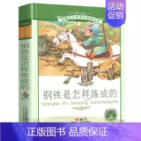 钢铁是怎样炼成的[彩图注音] [正版]三十六计 书儿童读物注音版青少年版 36计书籍小学生版课外阅读一二三年级课外书籍1