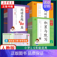 阅读培优集训100篇(全1册) 小学六年级 [正版]2024/25适用 53小学基础练人教版 一二三年级积累与默写上下册