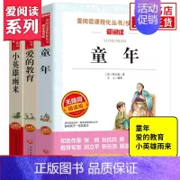 套装3册 [正版]爱阅读快乐读书吧 小英雄雨来 童年爱的教育 小学语文6年级上册拓展阅读儿童文学课程化丛书 小学六6年级