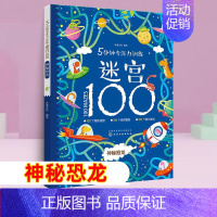 神秘恐龙 5分钟专注力训练迷宫100 [正版]5分钟专注力训练迷宫100全套5册 神秘恐龙+勇敢公主+酷炫汽车+汉字+成