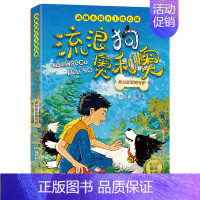 来自星星的守护 [正版]流浪狗奥利奥全套12册 吉他上的二重唱来自星星的守护黑夜骑手的眼睛动物小说大王沈石溪6-12周岁