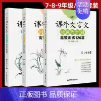 七八九年级文言文 全3册 初中通用 [正版]初中课外文言文阅读周计划高效训练120篇现代文阅读周计划高效训练100篇七八