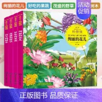 [套装4册]树木+野草+果蔬+花儿 [正版] 童眼识天下认标志百花地理恐龙王国 3-6岁幼儿童常识教育早教绘本图书籍 常