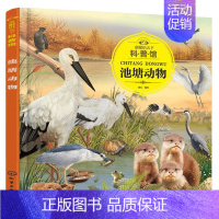 池塘动物 [正版] 童眼识天下认标志百花地理恐龙王国 3-6岁幼儿童常识教育早教绘本图书籍 常见安全标志交通标志 儿童启