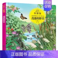 茂盛的野草 [正版] 童眼识天下认标志百花地理恐龙王国 3-6岁幼儿童常识教育早教绘本图书籍 常见安全标志交通标志 儿童
