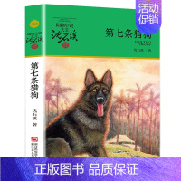 第七条猎狗 [正版] 斑羚飞渡 动物小说大王沈石溪品藏书系狼王梦青少年课外书8-10-12-15周岁四五六年级小学生课外