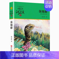 保姆蟒 [正版] 斑羚飞渡 动物小说大王沈石溪品藏书系狼王梦青少年课外书8-10-12-15周岁四五六年级小学生课外阅读