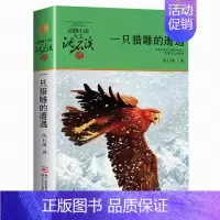 一只猎雕的遭遇 [正版] 斑羚飞渡 动物小说大王沈石溪品藏书系狼王梦青少年课外书8-10-12-15周岁四五六年级小学生
