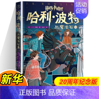 哈利·波特与魔法石Ⅱ [正版]哈利波特与魔法石书纪念版中文原版哈里系列书1英JK罗琳四五六年级小学生升级版课外阅读儿童文