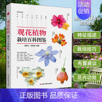 [正版] 观花植物栽培百科图鉴 吴棣飞 等编 家庭养花实用宝典新手养花技术室内室外植物种花大全四季花卉园艺植物种殖栽