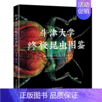 [正版]牛津大学昆虫图鉴(精) 中小学生自然科学生物科普读物百科全书显微镜摄影昆虫标本照片科普儿童动物书探索自然 江苏科