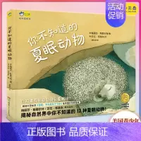 你不知道的夏眠动物 [正版]动物科普启蒙绘本你不知道的夏眠动物梅丽莎·斯图尔特羽毛不只是为了飞行作者大百科幼儿生物儿童读
