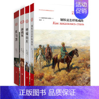 [正版]世界文学名著小说书 高初中生课外文学书 12-18岁青少年读物 钢铁是怎样炼成的 茶花女 红与黑 呼啸山庄