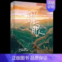 耀眼1 [正版] 再读来信/过秋天/西城往事 青春文学都市现代言情 甜虐小说合集BE虐恋言情小说实体书