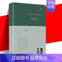 [正版] 浪游者/巴别塔诗典 (德国)荷尔德林 译者:林克 外国文学诗歌集 外国文学作品诗集精选经典散文诗歌诗词书籍