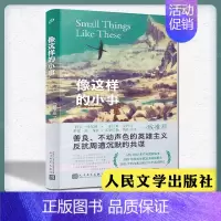 [正版] 像这样的小事 精装 克莱尔·吉根 南极走在蓝色田野上作者作品入围布克奖短名单爱尔兰文学外国文学小说书人民文