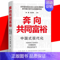 [正版] 《奔向共同富裕》读懂共同富裕 看清未来中国 中国式现代化社会完整论述体系 经济民生通俗理论书籍 湖南人民出