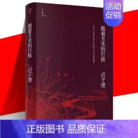 [正版] 踏着月光的行板 迟子建作品 茅盾文学奖 鲁迅文学奖 四个各具魅力的情爱世界 当代文学短篇小说故事集书 作家