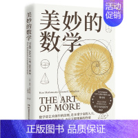 [正版]美妙的数学 迈克布鲁克斯 一部诗意感性的数学史 教师钱守旺 数学up主佟大大科普读物数学史美丽的数学热卖书D