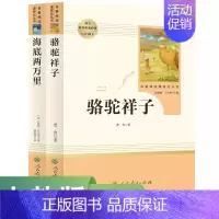 七年级下册·全2册 [正版]快乐读书吧人教版中学七八九年级上下册套装任选课外书阅读朝花夕拾西游记白洋淀纪事湘行散记城南旧