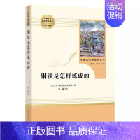 钢铁是怎样炼成的·八年级下册 [正版]快乐读书吧人教版中学七八九年级上下册套装任选课外书阅读朝花夕拾西游记白洋淀纪事湘行