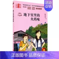 地下室里的火药味 [正版]智多星管小正青少年法治安全小说地下室里的火药味爷爷家里的陌生人少年碟中谍人贩子来了阅读心得版校