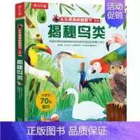 揭秘鸟类 [正版]揭秘系列儿童翻翻书3d立体书揭秘太空海洋恐龙宇宙人体汽车交通工具航空科普百科全书故事读物机关绘本图画书