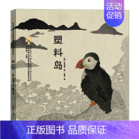 塑料岛 [正版]布拉迪斯拉发国际插画双年展获奖书系灰姑娘蛛网家族伊索寓言神奇的大自然破洞的袜子黑铅笔和红铅笔儿童绘本故事