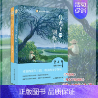 月光下的铜板+芦荻秋 全二册 [正版]书店《月光下的铜板》《芦荻秋》曹文轩儿童文学系列8-9-10-12岁书籍中小学生课