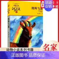 斑羚飞渡 [正版]书店 斑羚飞渡 升级版动物小说大王沈石溪·品藏书系 中/小学生阅读少儿读物 儿童文学