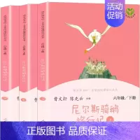 尼尔斯骑鹅旅行记 [正版]快乐读书吧六年级下册人教版爱丽丝漫游奇境尼尔斯骑鹅旅行记鲁滨逊漂流记汤姆索亚历险记小学生语文课