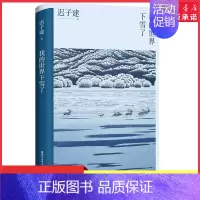 [正版]我的世界下雪了迟子建著以文字抚平创痛以真情感怀人间中国现当代散文集文学作品9787533966720 书店书籍