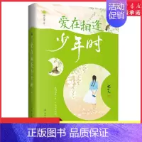 [正版]沈从文散文精选爱在相逢少年时全新彩插双封裸脊精选版世界这么大还好遇见你献给每一个为爱奋不顾身也终将被爱治愈的你